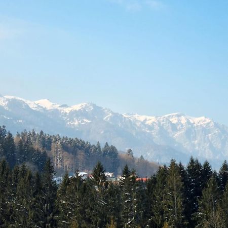 Vintage Home Sinaia Zewnętrze zdjęcie