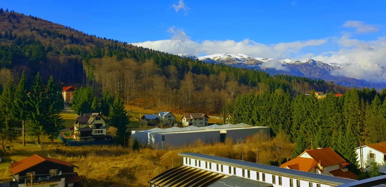 Vintage Home Sinaia Zewnętrze zdjęcie