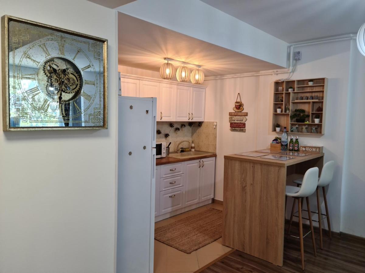 Vintage Home Sinaia Zewnętrze zdjęcie
