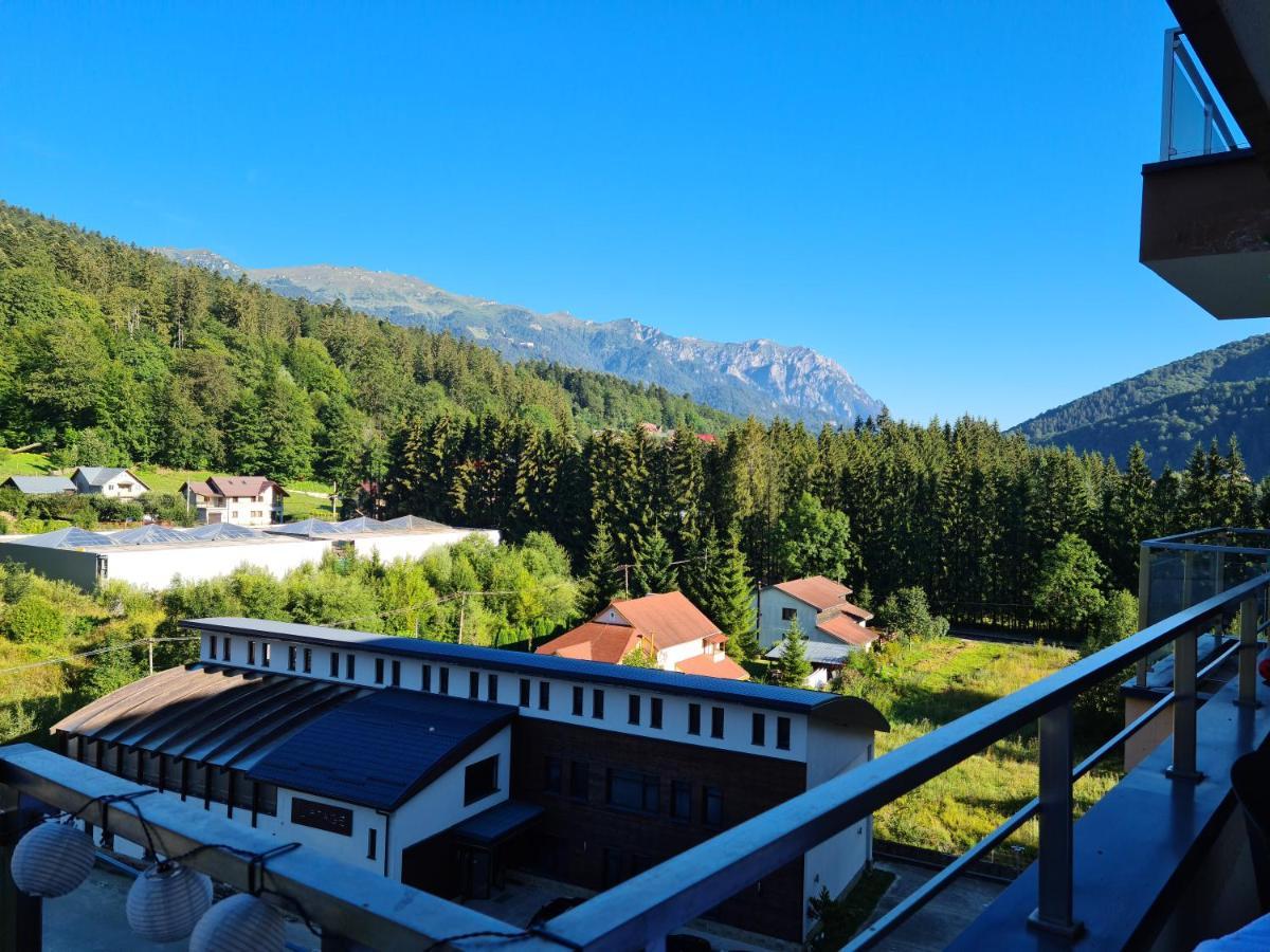 Vintage Home Sinaia Zewnętrze zdjęcie