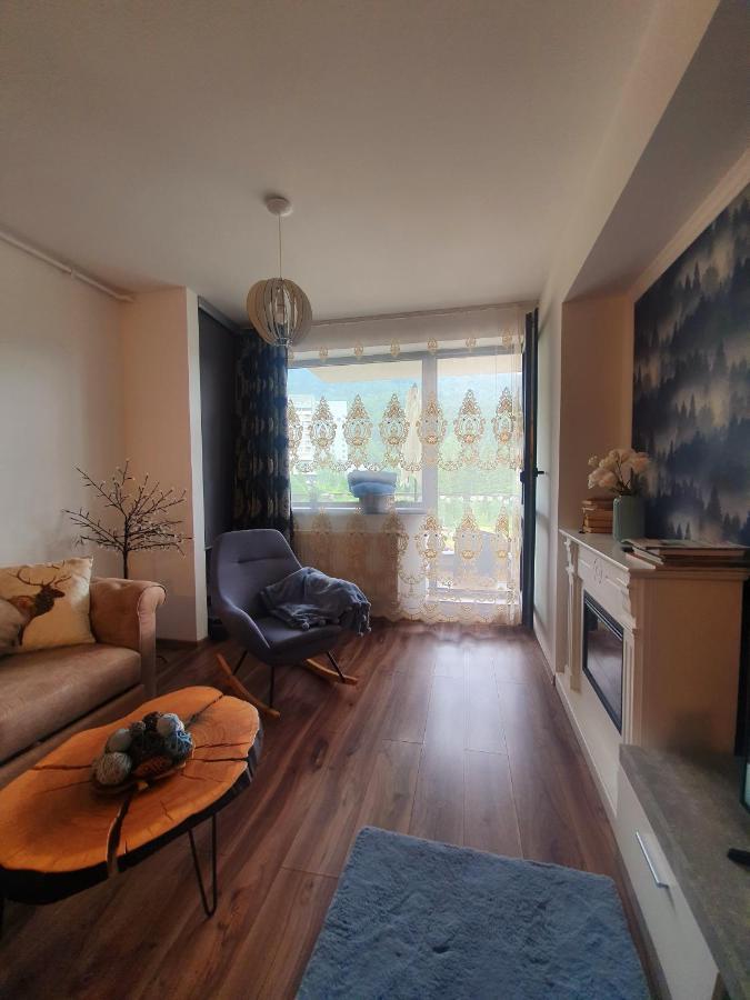Vintage Home Sinaia Zewnętrze zdjęcie