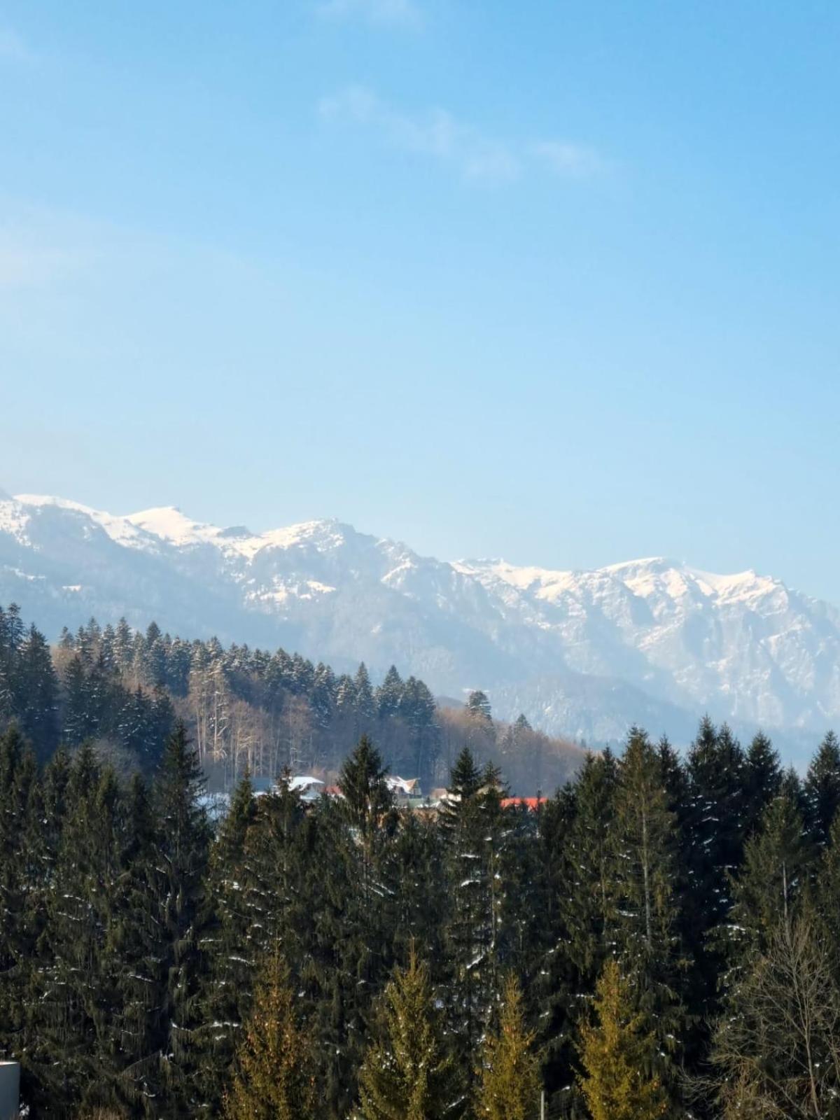 Vintage Home Sinaia Zewnętrze zdjęcie
